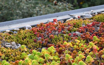 the cost of Sedrup green roof installation