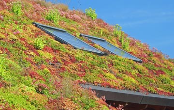 Sedrup living roof systems